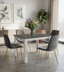 Krzesło TURIN - aksamit szary ciemny / nogi złote x 2