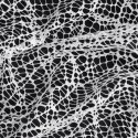 FIRANA GOTOWA AMANDA 300 X 250 CM BIAŁY