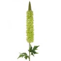 KWIAT NATU 357 108 CM ZIELONY