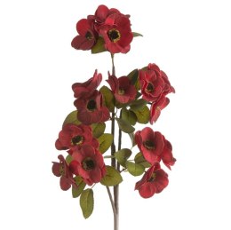KWIAT FLORE 746 O 7 X 70 CM CZERWONY