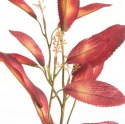KWIAT NATU 453 69 CM BORDOWY