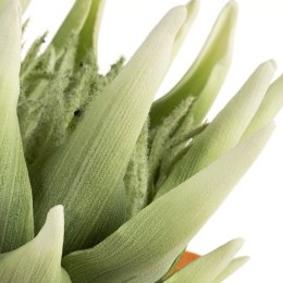 KWIAT FLORE 792 76 CM ZIELONY