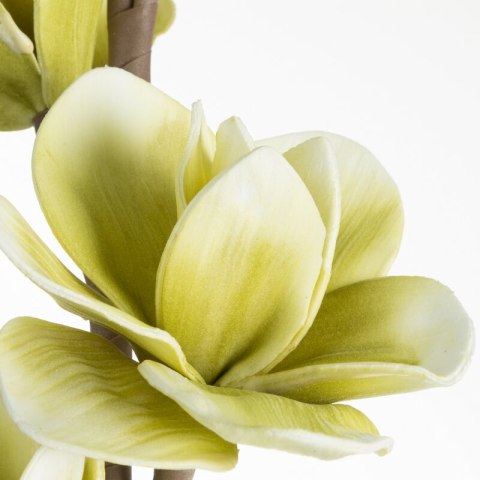 KWIAT FLORE 713 FI 12 X 104 CM ZIELONY