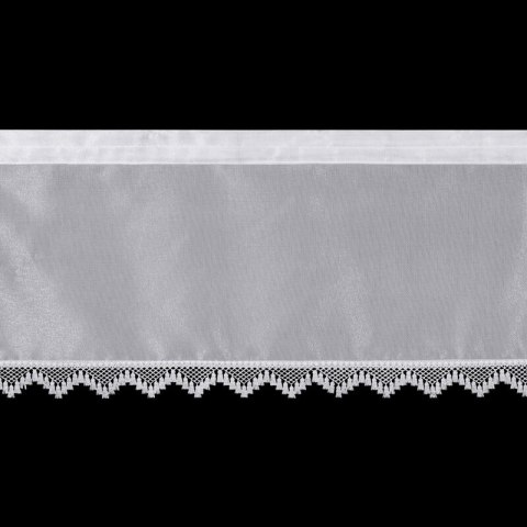 ZAZDR/MONIC/B 150X30