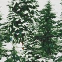 ŚWIĄTECZNY KOMPLET POŚCIELI NEVADA 140 X 200 CM BIAŁY