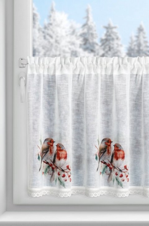SW/XMAS/FIR/10 60X150 TUNEL B+RUDY