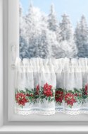 SW/XMAS/FIR/5 30X150 TUNEL B+CZER