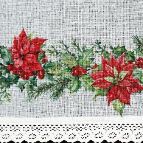 SW/XMAS/FIR/5 30X150 TUNEL B+CZER