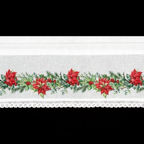 SW/XMAS/FIR/5 30X150 TUNEL B+CZER