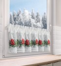 SW/XMAS/FIR/5 30X150 TUNEL B+CZER