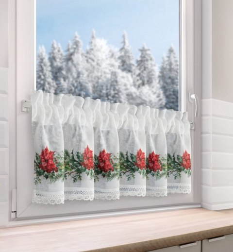 SW/XMAS/FIR/5 30X150 TUNEL B+CZER