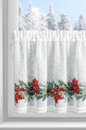 SW/XMAS/FIR/5 60X150 TUNEL B+CZER