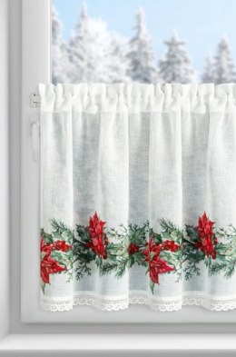 SW/XMAS/FIR/5 60X150 TUNEL B+CZER