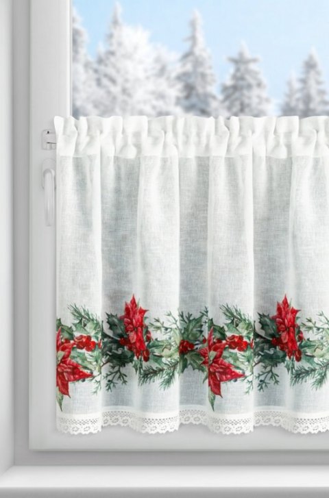 SW/XMAS/FIR/5 60X150 TUNEL B+CZER