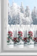 SW/XMAS/FIR/7 30X150 TUNEL B+ZIEL