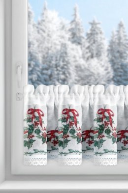 SW/XMAS/FIR/7 30X150 TUNEL B+ZIEL