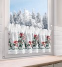 SW/XMAS/FIR/7 30X150 TUNEL B+ZIEL