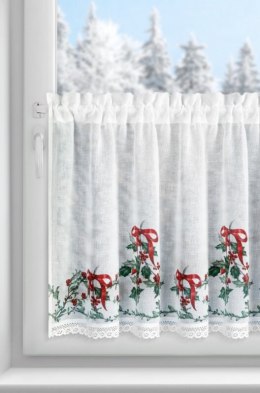 SW/XMAS/FIR/7 60X150 TUNEL B+ZIEL
