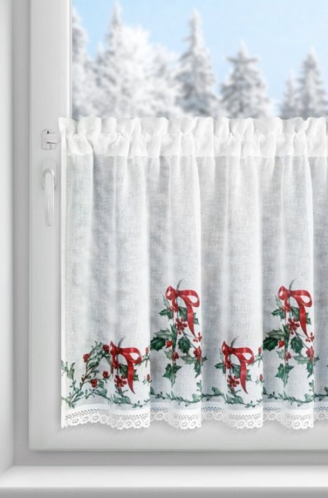 SW/XMAS/FIR/7 60X150 TUNEL B+ZIEL