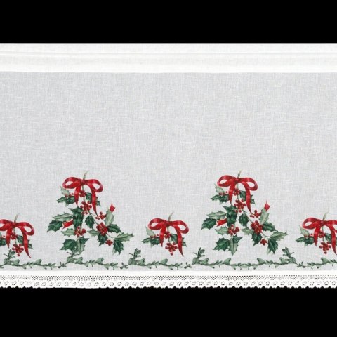 SW/XMAS/FIR/7 60X150 TUNEL B+ZIEL