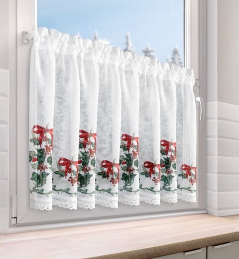 SW/XMAS/FIR/7 60X150 TUNEL B+ZIEL