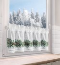 SW/XMAS/FIR/8 30X150 TUNEL B+ZIEL