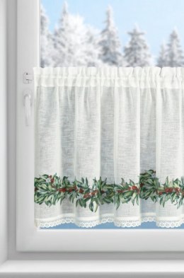 SW/XMAS/FIR/8 60X150 TUNEL B+ZIEL