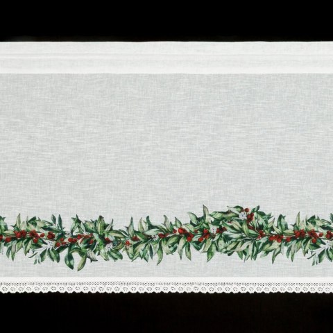 SW/XMAS/FIR/8 60X150 TUNEL B+ZIEL