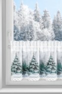 SW/XMAS/FIR/9 30X150 TUNEL B+ZIEL