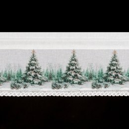 SW/XMAS/FIR/9 30X150 TUNEL B+ZIEL