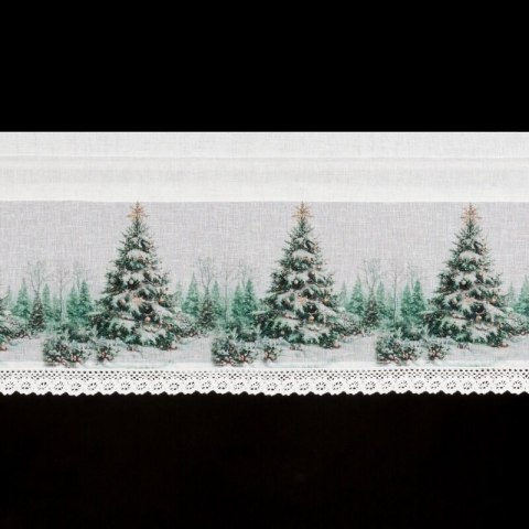 SW/XMAS/FIR/9 30X150 TUNEL B+ZIEL