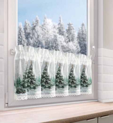 SW/XMAS/FIR/9 30X150 TUNEL B+ZIEL