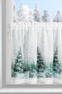 SW/XMAS/FIR/9 60X150 TUNEL B+ZIEL