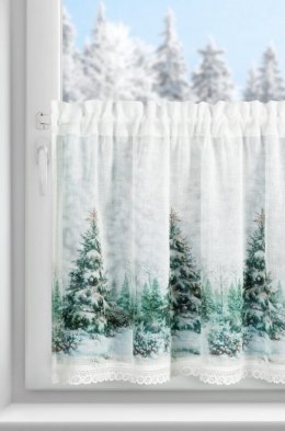SW/XMAS/FIR/9 60X150 TUNEL B+ZIEL
