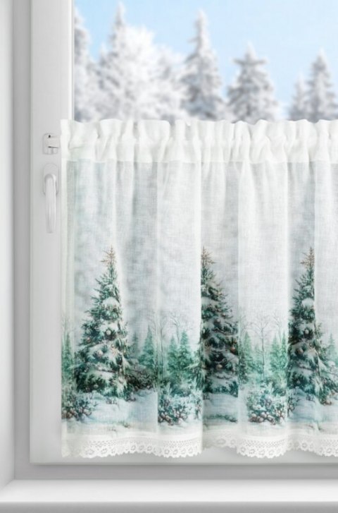 SW/XMAS/FIR/9 60X150 TUNEL B+ZIEL
