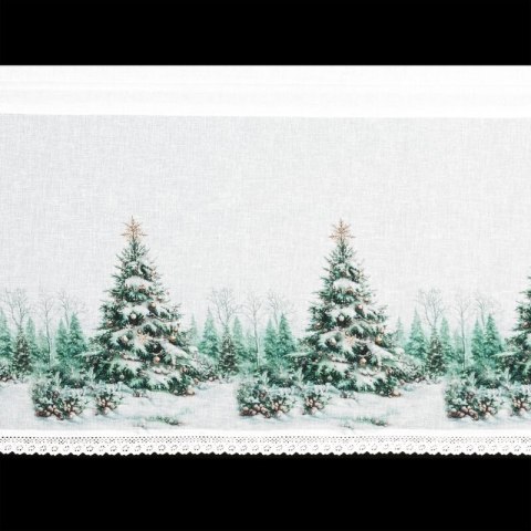 SW/XMAS/FIR/9 60X150 TUNEL B+ZIEL