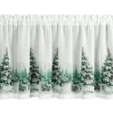SW/XMAS/FIR/9 60X150 TUNEL B+ZIEL