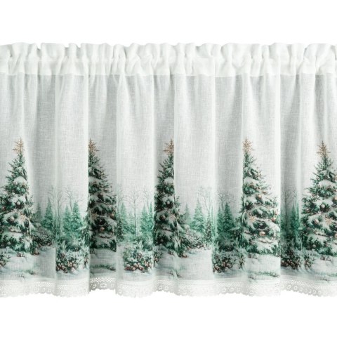 SW/XMAS/FIR/9 60X150 TUNEL B+ZIEL
