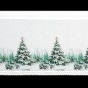 SW/XMAS/FIR/9 60X150 TUNEL B+ZIEL