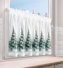 SW/XMAS/FIR/9 60X150 TUNEL B+ZIEL