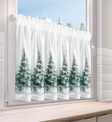 SW/XMAS/FIR/9 60X150 TUNEL B+ZIEL