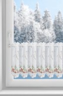 SW/XMAS/FIR/17/B 40X145 OCZKA