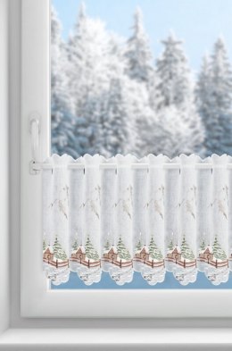 SW/XMAS/FIR/17/B 40X145 OCZKA