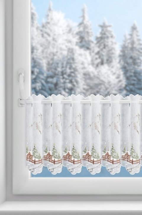 SW/XMAS/FIR/17/B 40X145 OCZKA
