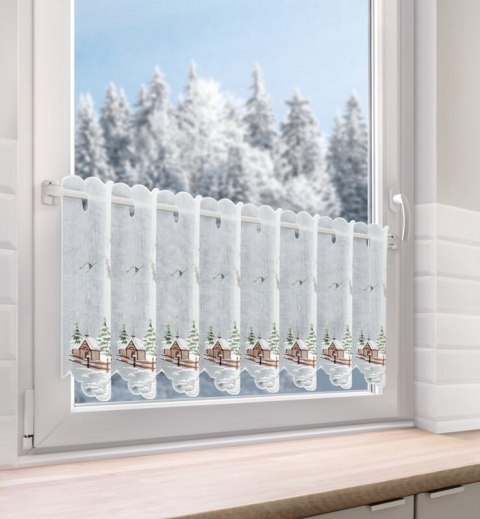 SW/XMAS/FIR/17/B 40X145 OCZKA