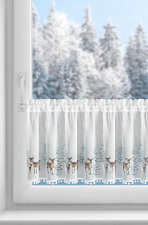 SW/XMAS/FIR/18/B 40X150 TUNEL
