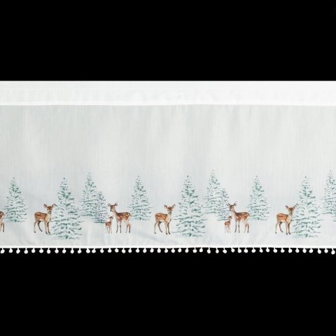 SW/XMAS/FIR/18/B 40X150 TUNEL