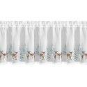 SW/XMAS/FIR/18/B 40X150 TUNEL