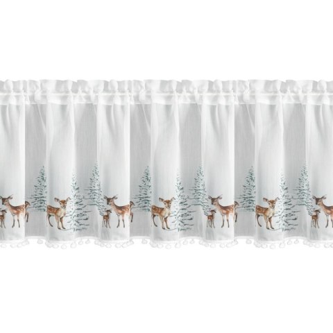 SW/XMAS/FIR/18/B 40X150 TUNEL