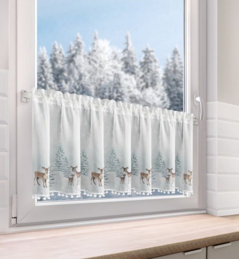 SW/XMAS/FIR/18/B 40X150 TUNEL